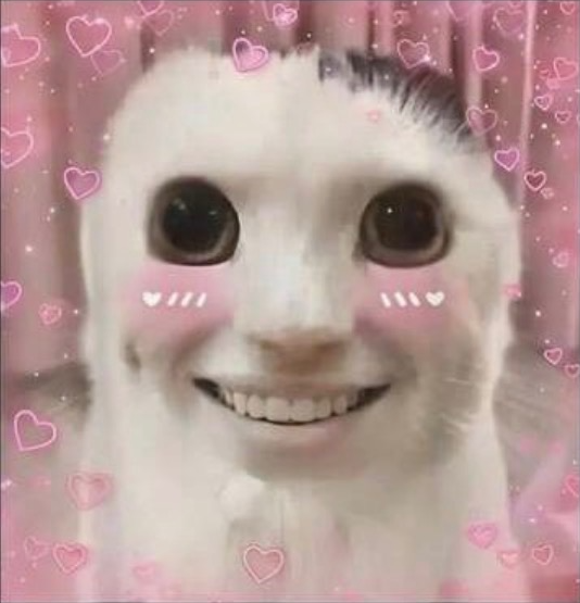 Sample Cursed Cat Meme